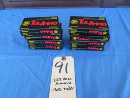 .223 Rem. Ammo - 160 rnds.