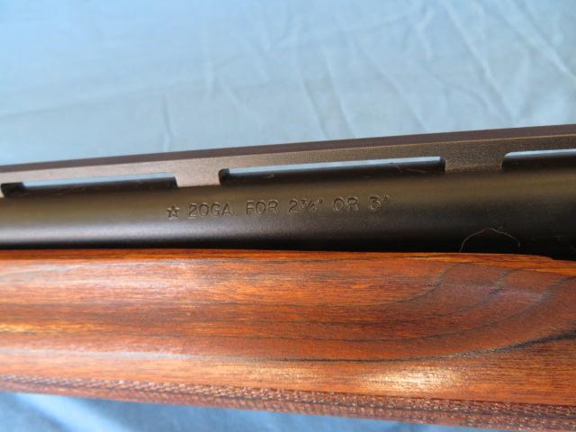 Remington 870 Express 20 ga - BC239