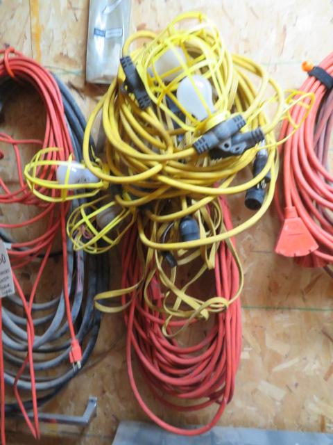 Extension Cords & Lights