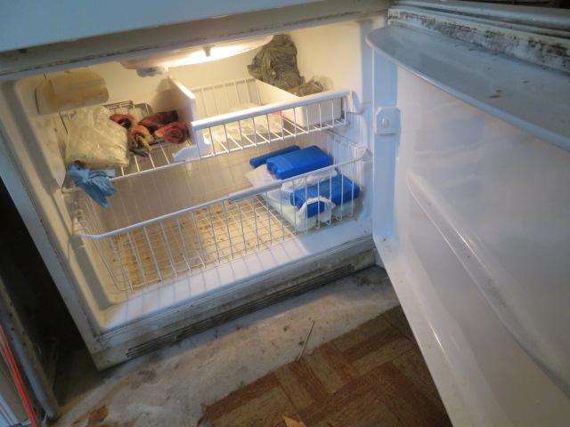 Amana Refrigerator