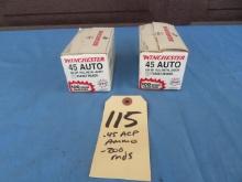 .45 ACP Ammo - 200 rounds