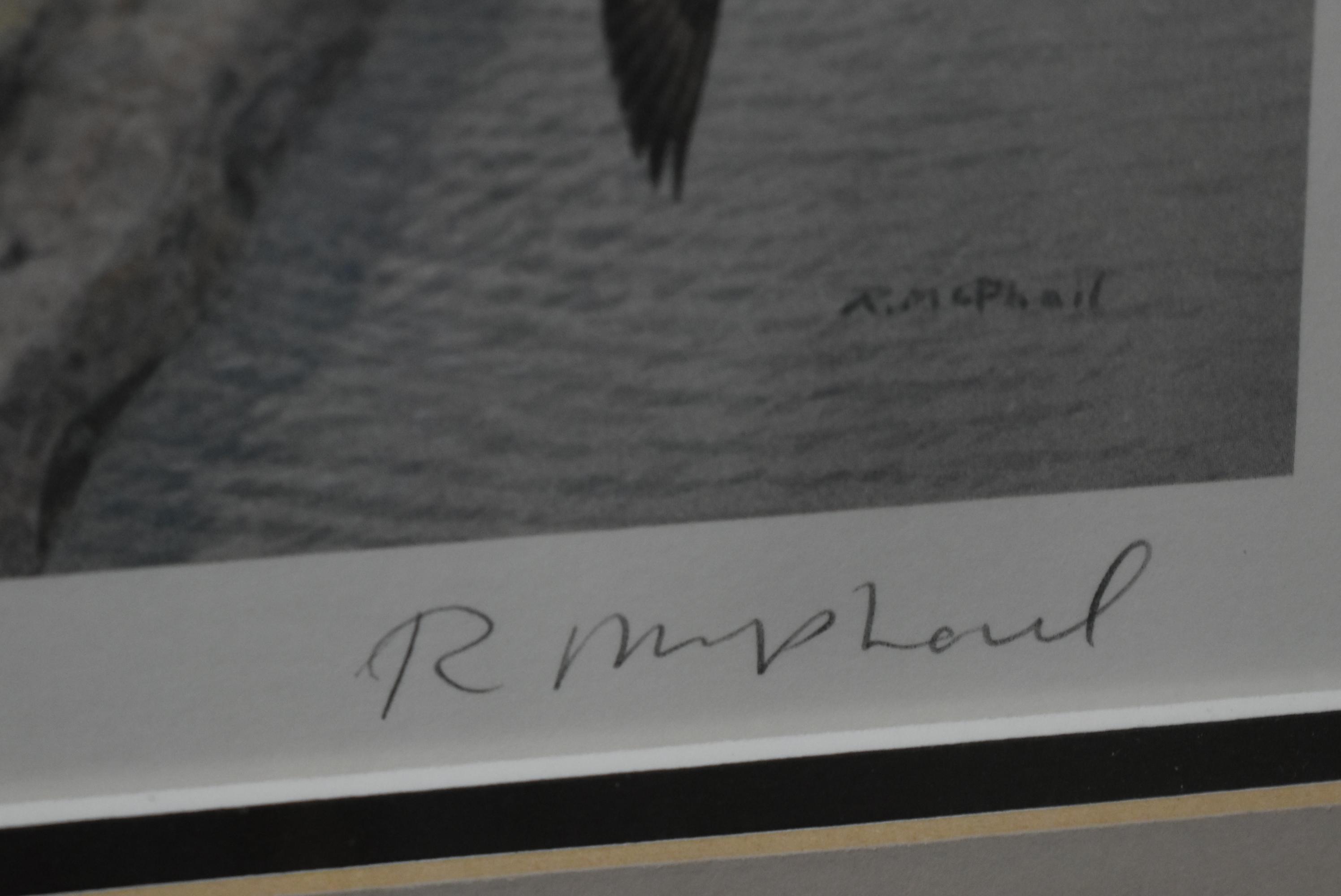 DUCKS UNLIMITED PRINT!