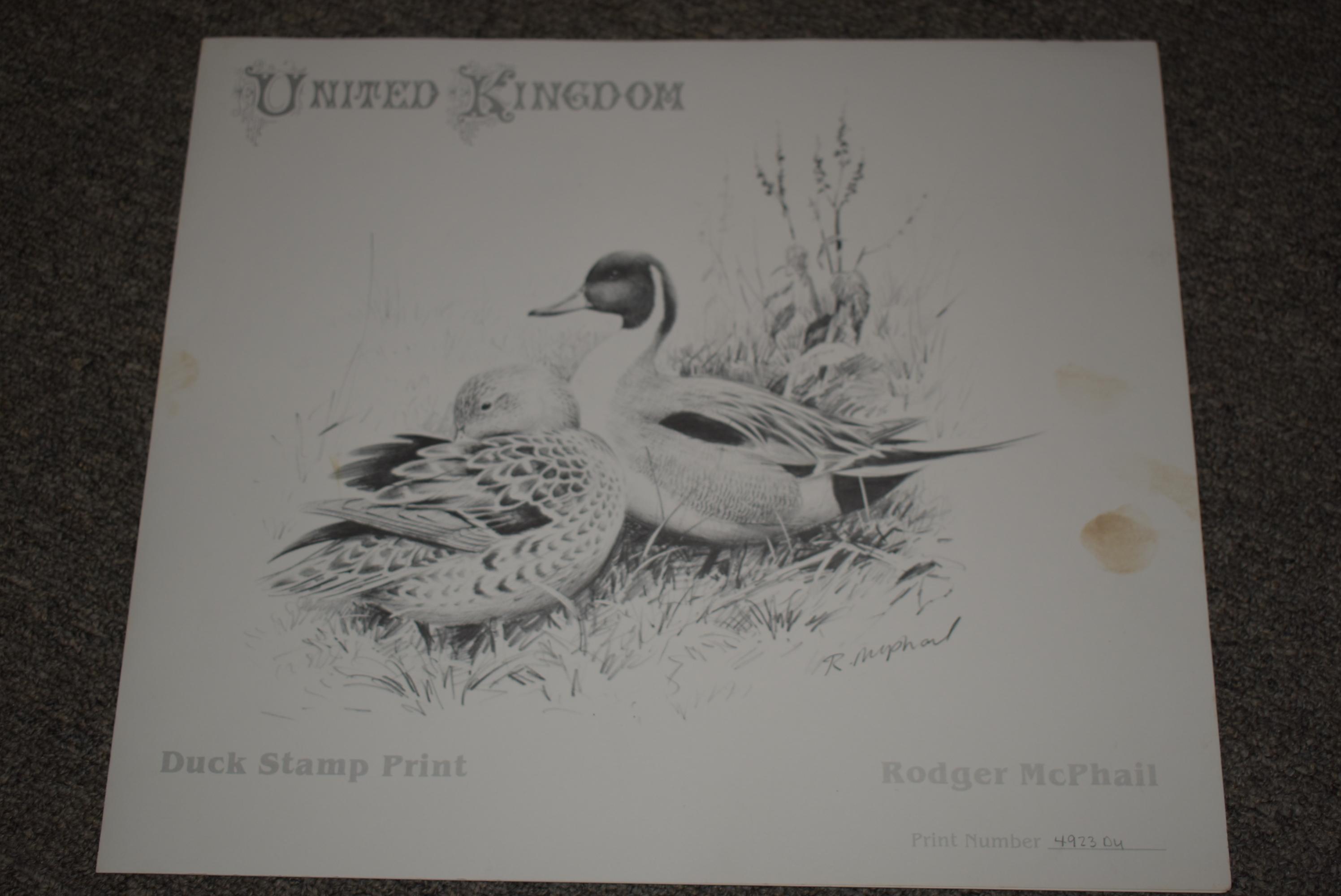 DUCKS UNLIMITED PRINT!