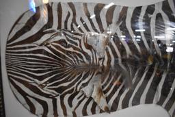 ZEBRA HIDE ART!!!