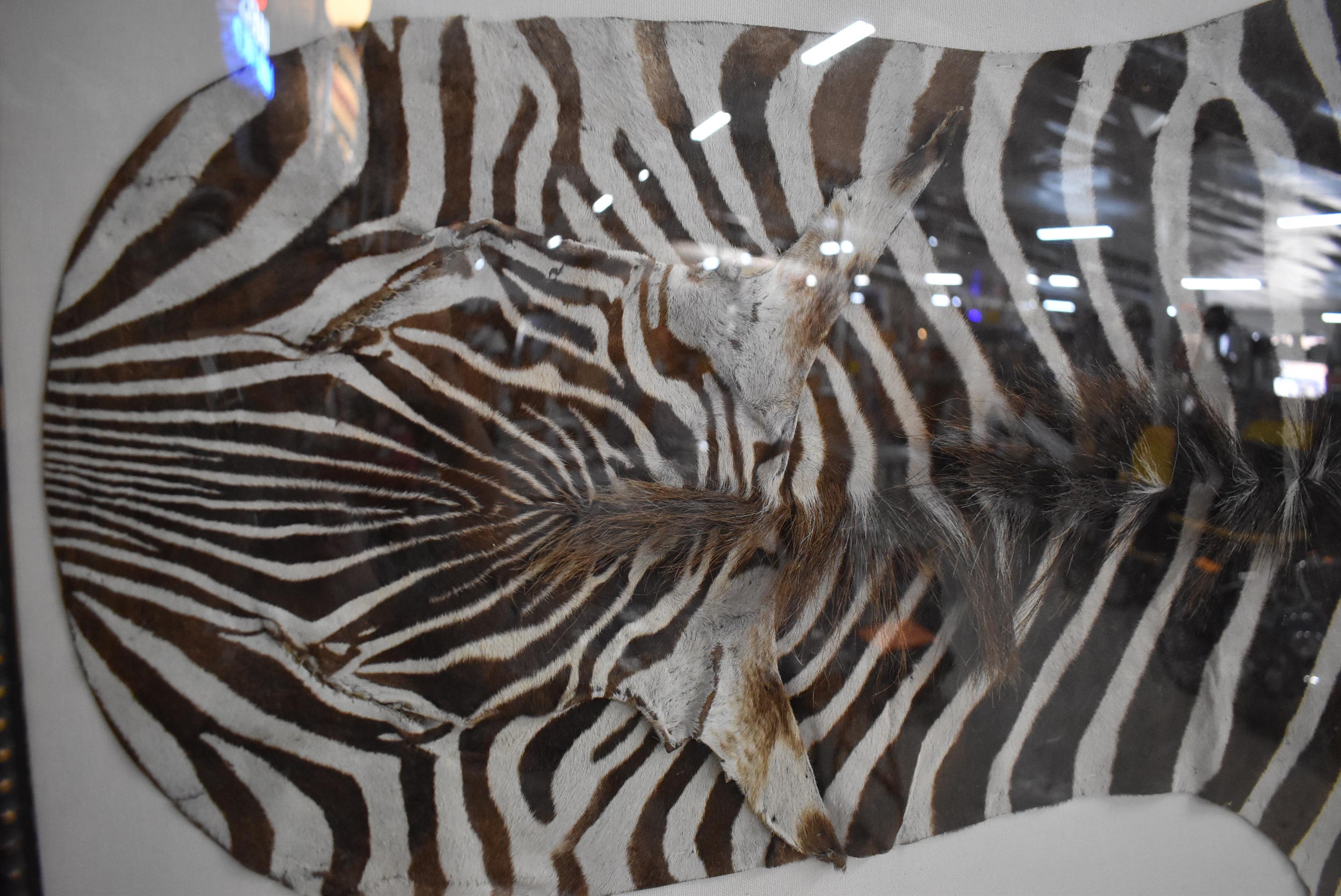 ZEBRA HIDE ART!!!