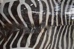 ZEBRA HIDE ART!!!