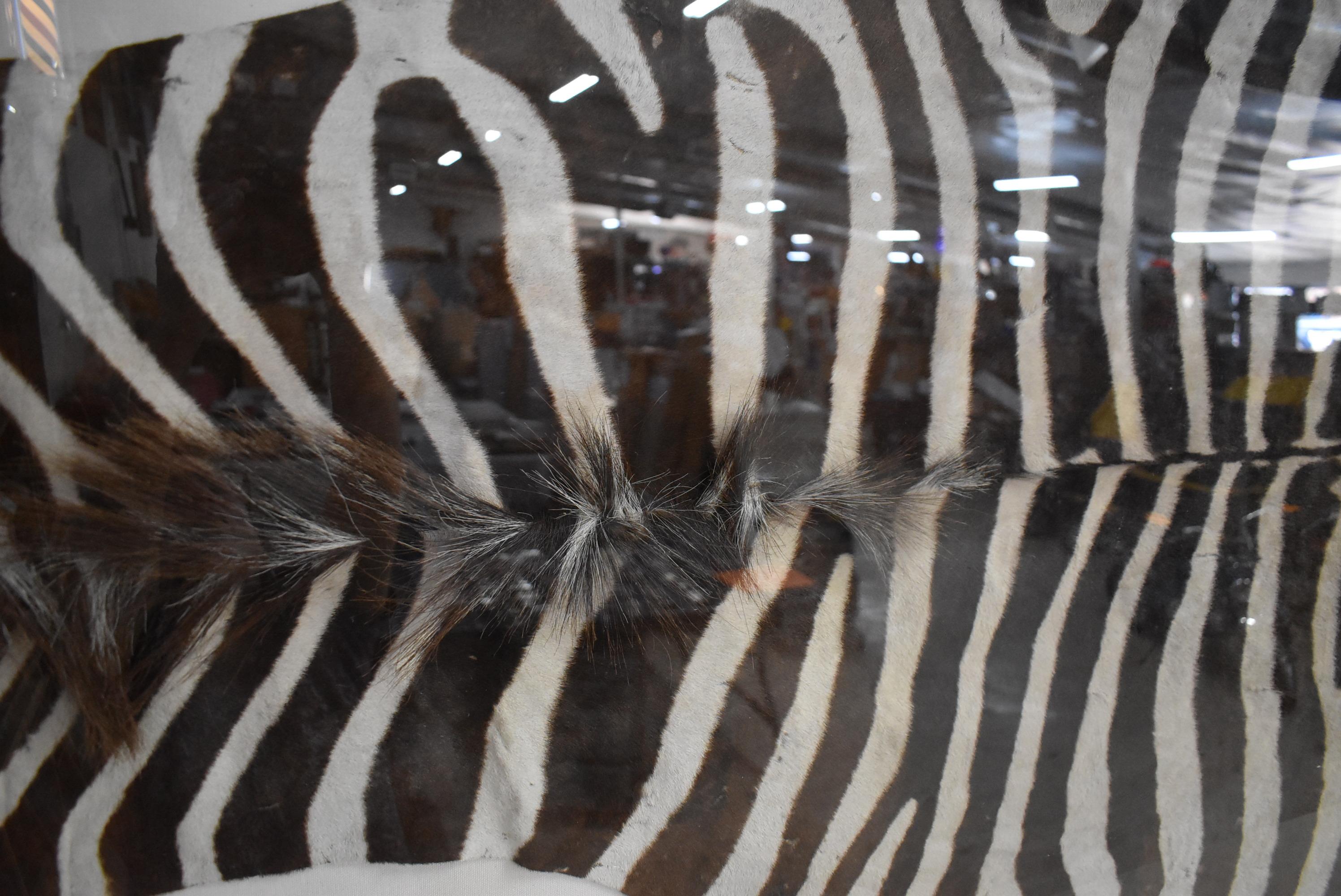 ZEBRA HIDE ART!!!
