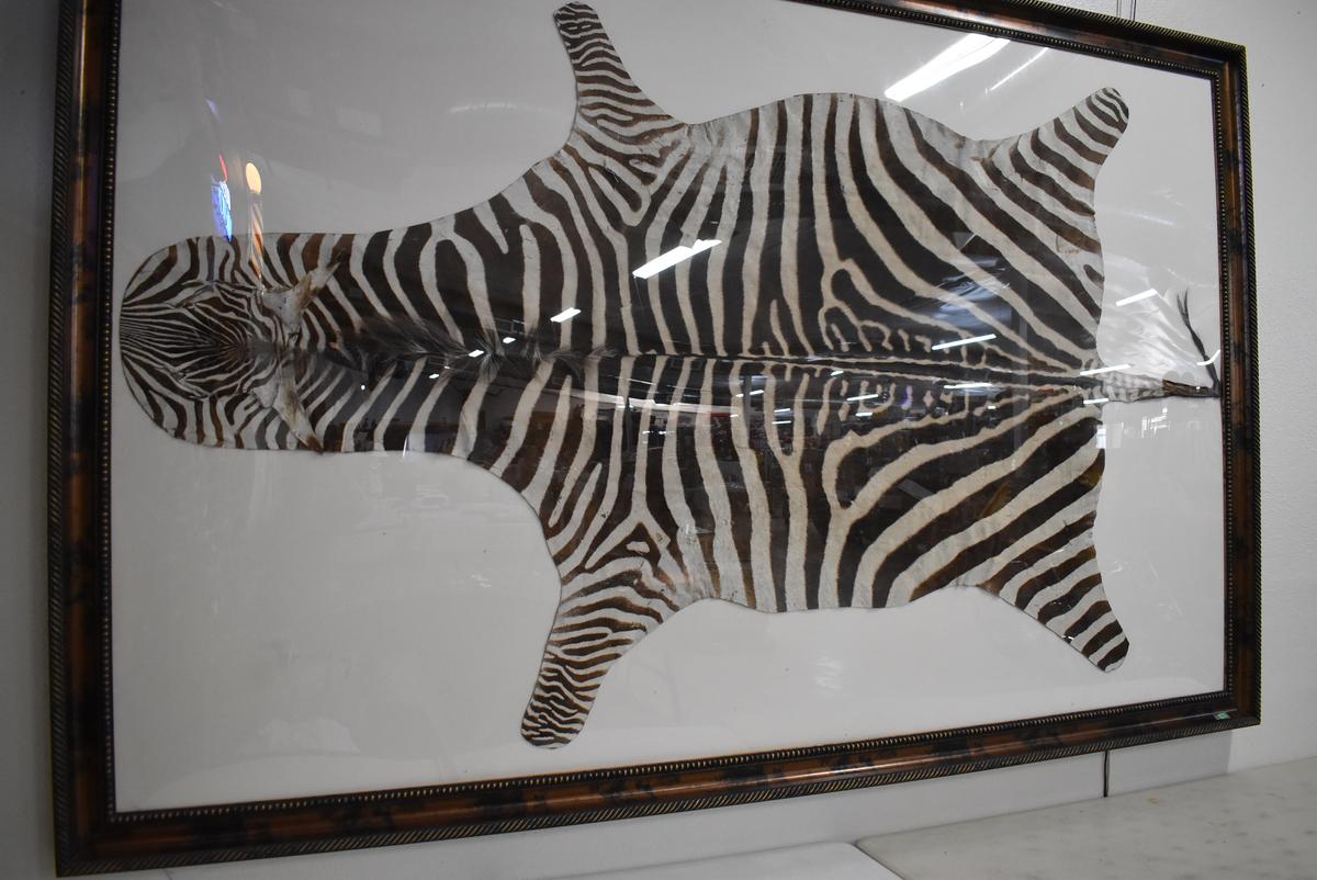 ZEBRA HIDE ART!!!