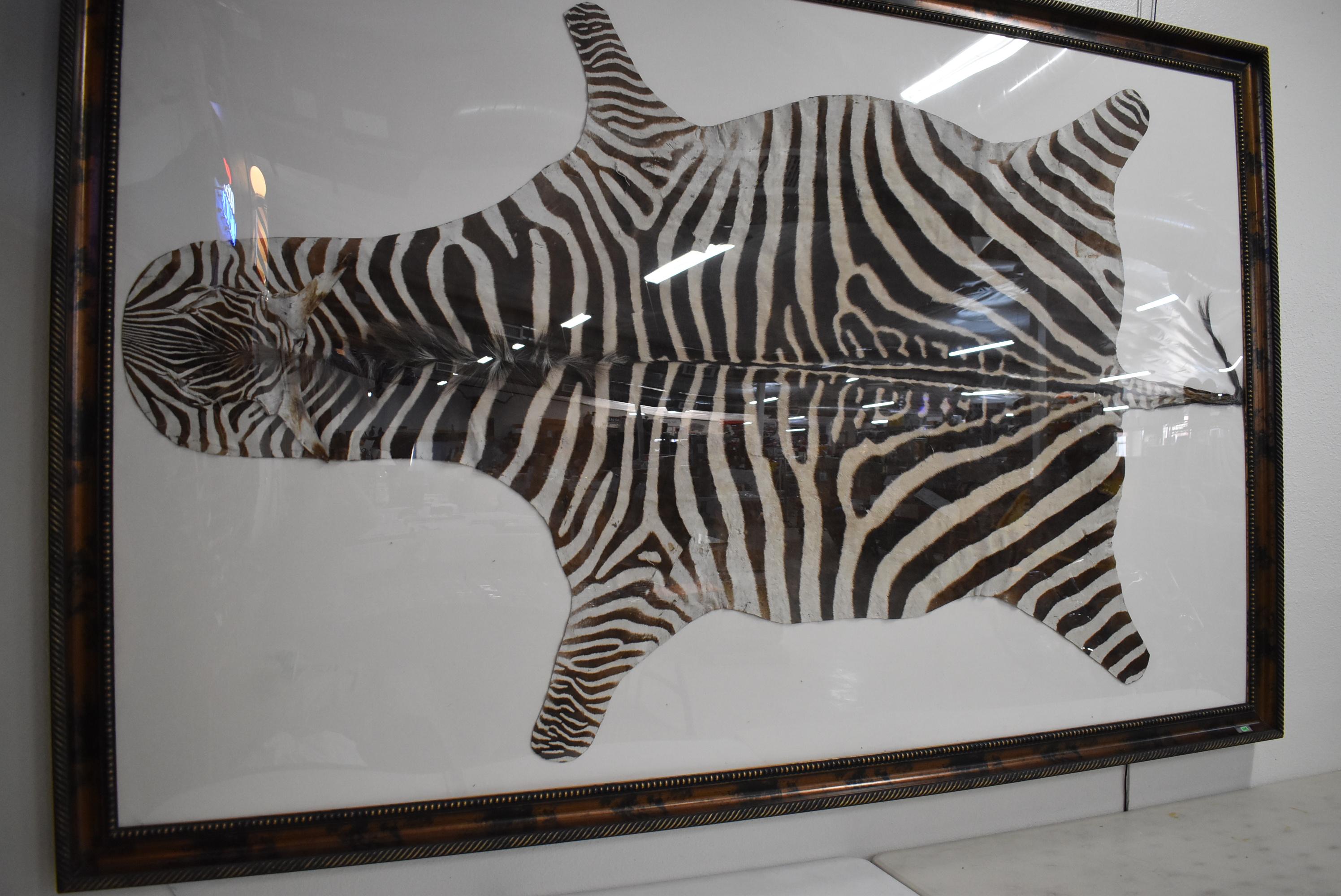 ZEBRA HIDE ART!!!