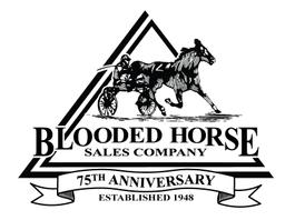 Blooded Horse Sales Company