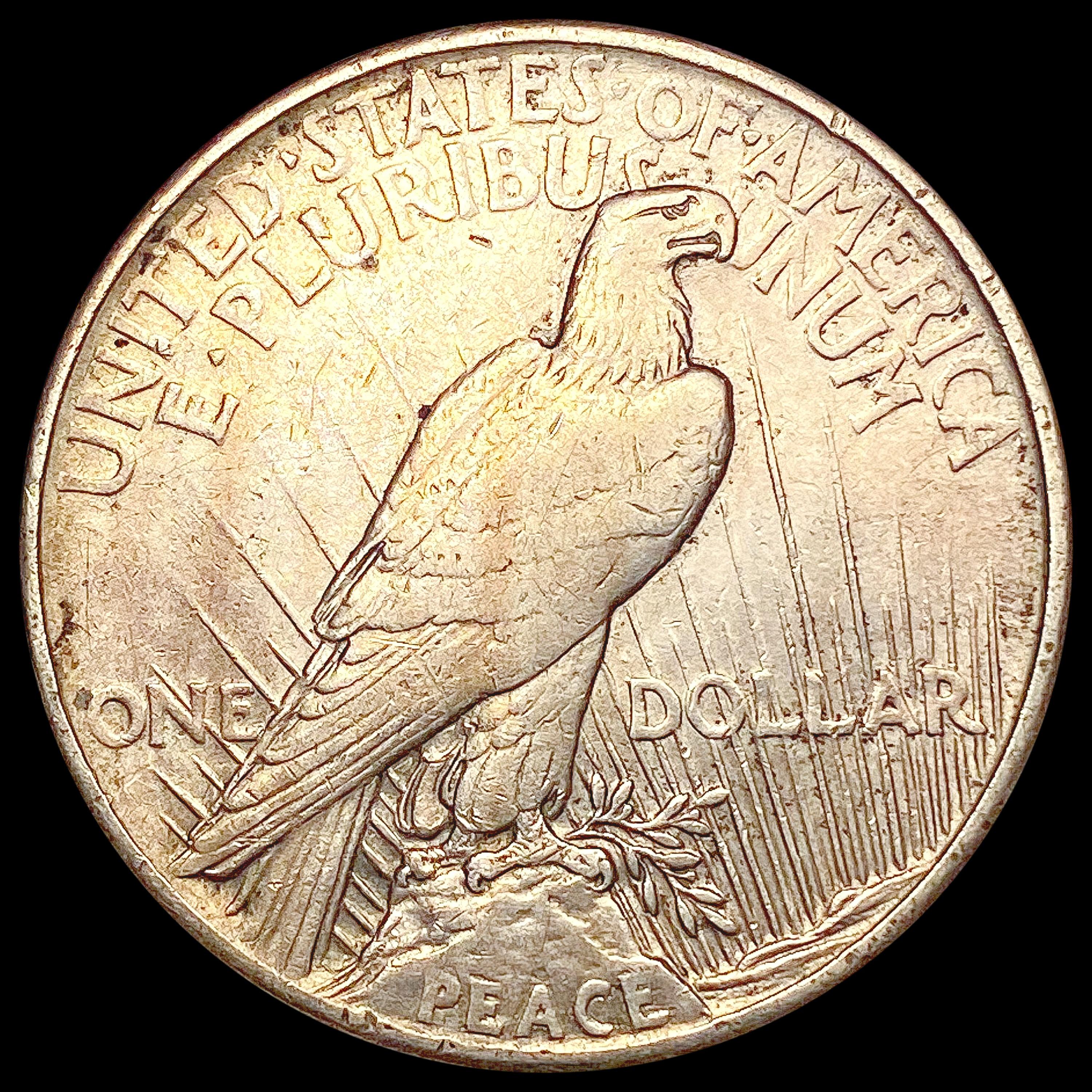 1921 Silver Peace Dollar NEARLY UNCIRCULATED