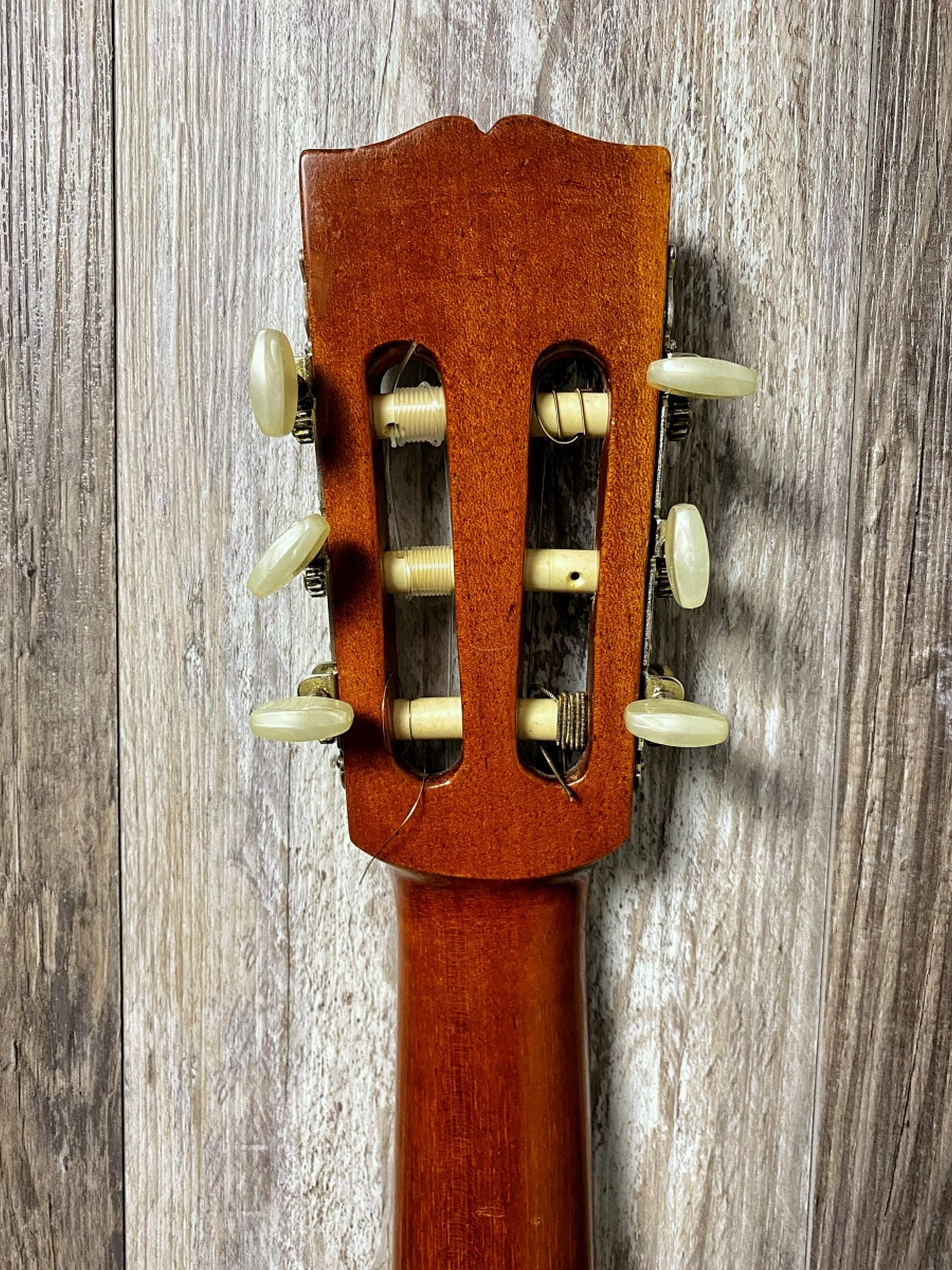 1970's Giannini ACC Guitar Soft Case