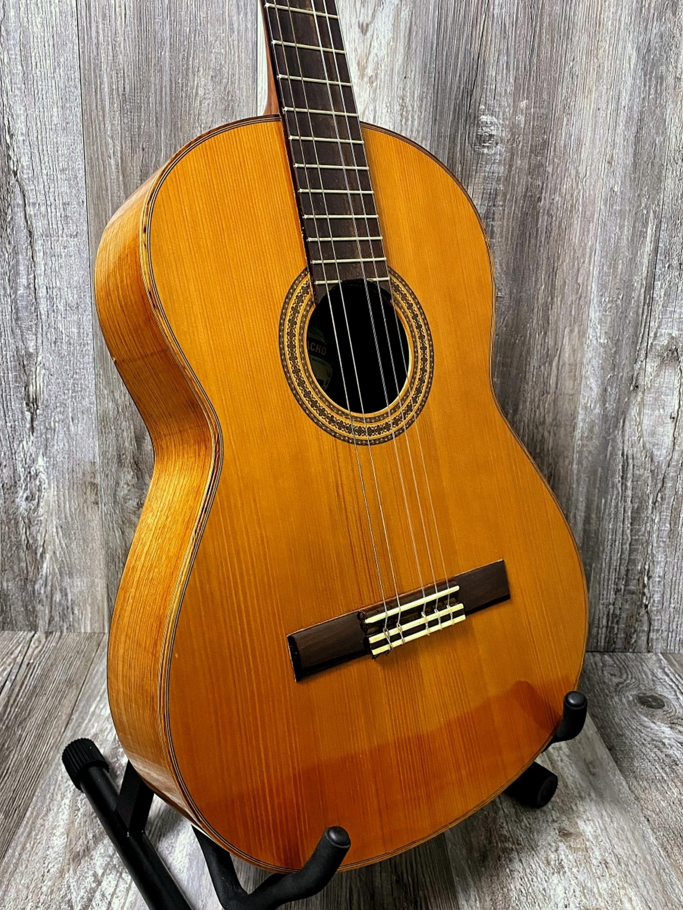 2012 Paracho Classical ACC Guitar Hard Case