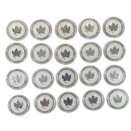 2014 Canada 1oz Silver $5's (20 Coins)