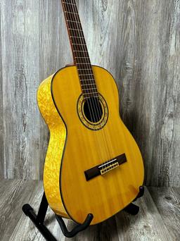 1970's Hofner Classical ACC Guitar Access HC