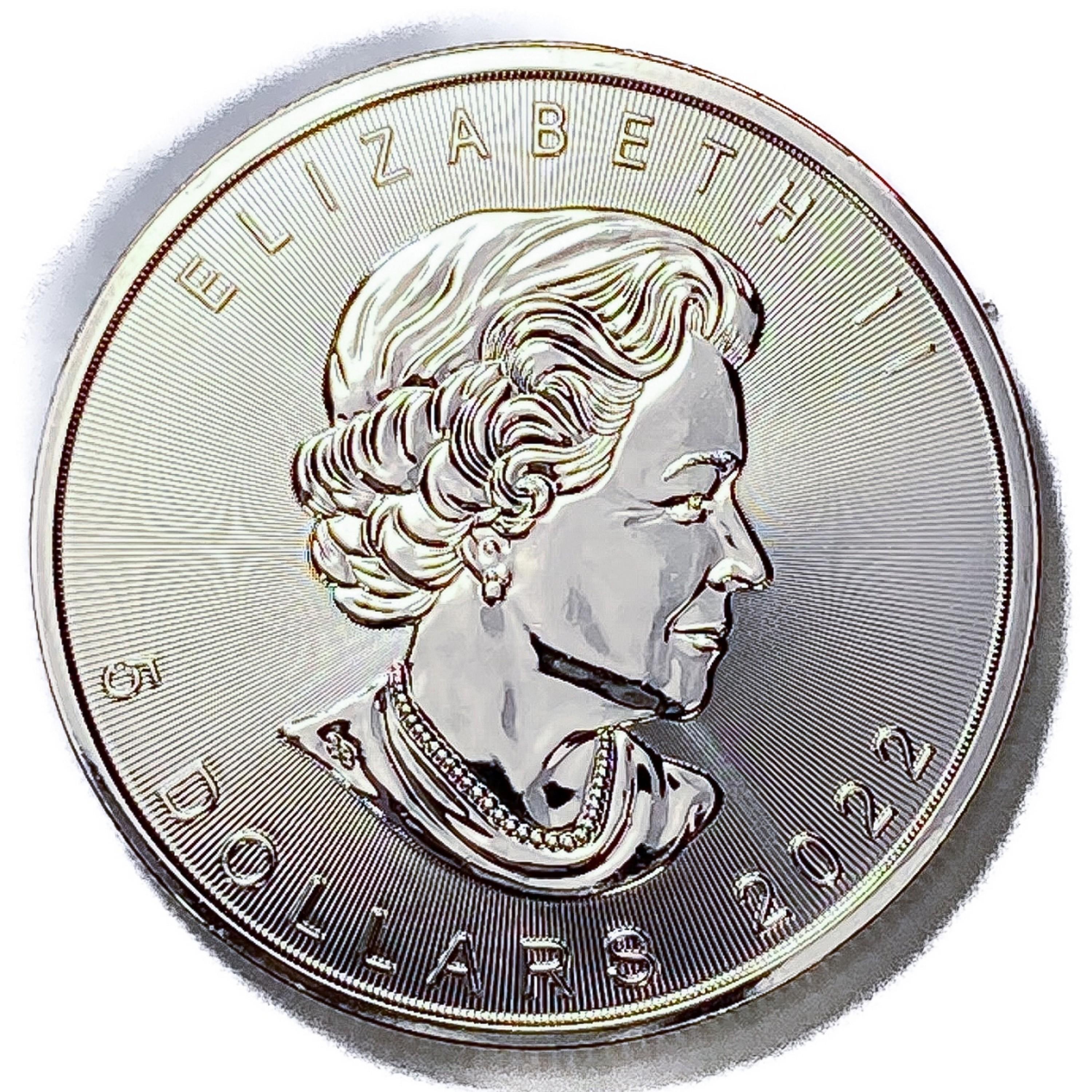 2022 Canada 1oz Silver Dollar Roll (13 Coins)