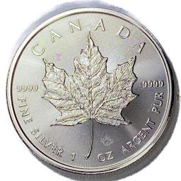 2022 Canada 1oz Silver Dollar Roll (13 Coins)