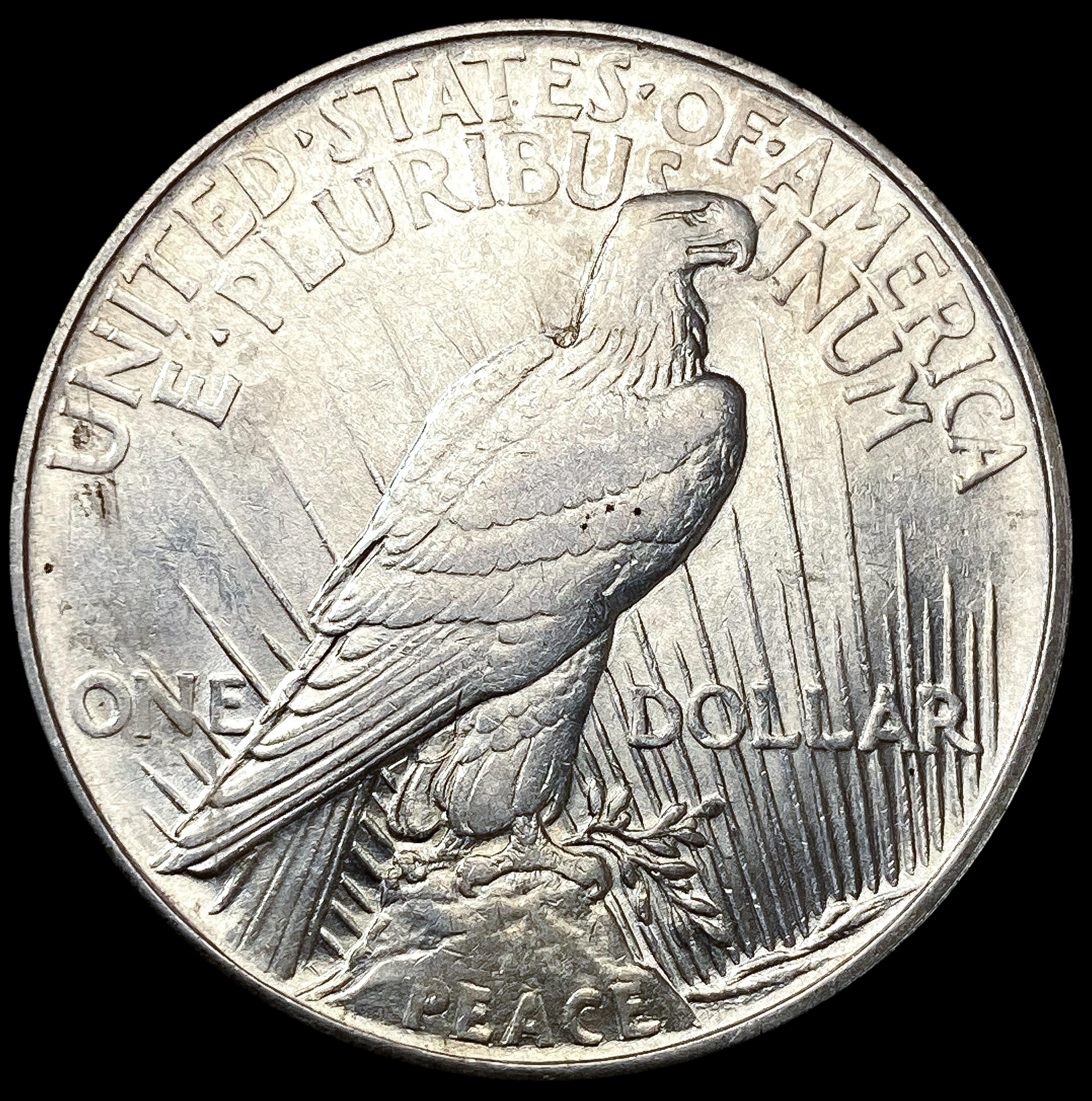 1921 Silver Peace Dollar CLOSELY UNCIRCULATED