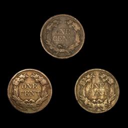 [3] Flying Eagle Cents ((2) 1857, 1858) LIGHTLY CI