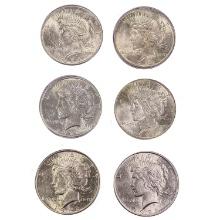 1922-1924 Unc US Silver Peace Dollars [6 Coins]