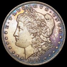 1891-CC VAM-3 Spitting Eagle Morgan Silver Dollar