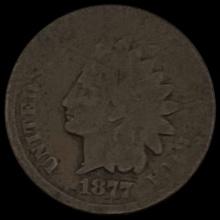 1877 Indian Head Cent NICELY CIRCULATED NICELY CIRCULATED