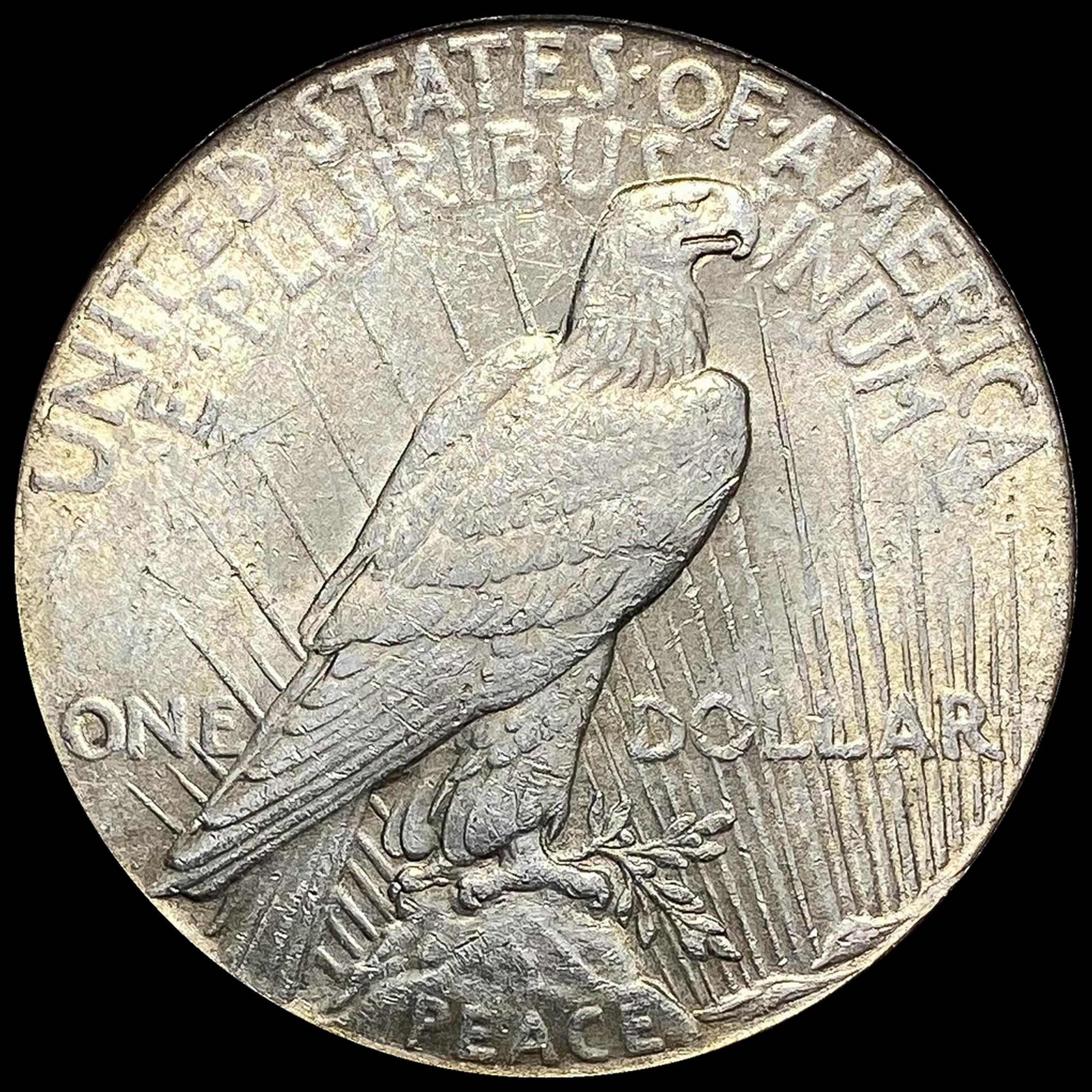 1923 Silver Peace Dollar CLOSELY UNCIRCULATED