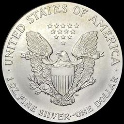 1999 1 oz Silver American Eagle Colorized GEM BU
