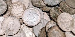 [20] 1921 Morgan Silver Dollar  Roll Nice CIRC