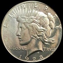 1928 Peace Dollar HIGH GRADE