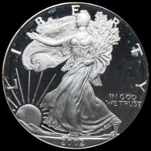 2002-W 1 oz Silver American Eagle GEM PROOF