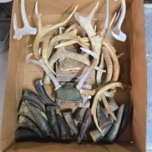 Collection Of Antlers And Pieces, And Cow Horn Tips For Knife Handles And Jewelry