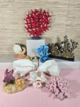 * Collection of Authentic Shells and Coral Plus Decorative Composite