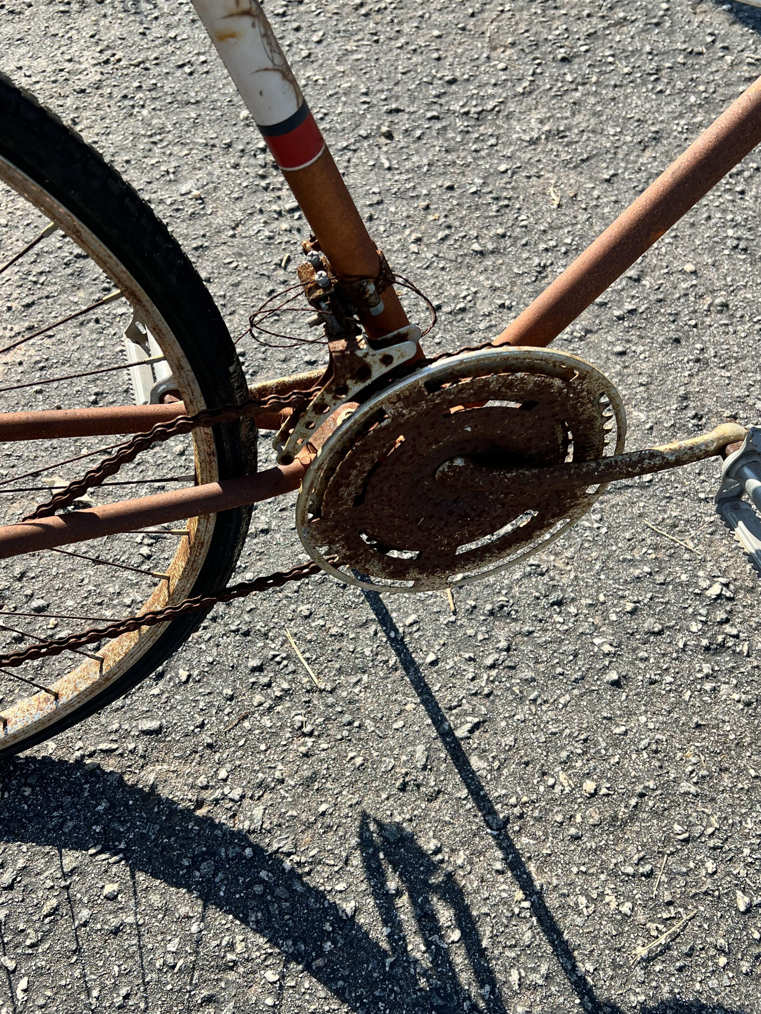 10 speed racer Bike