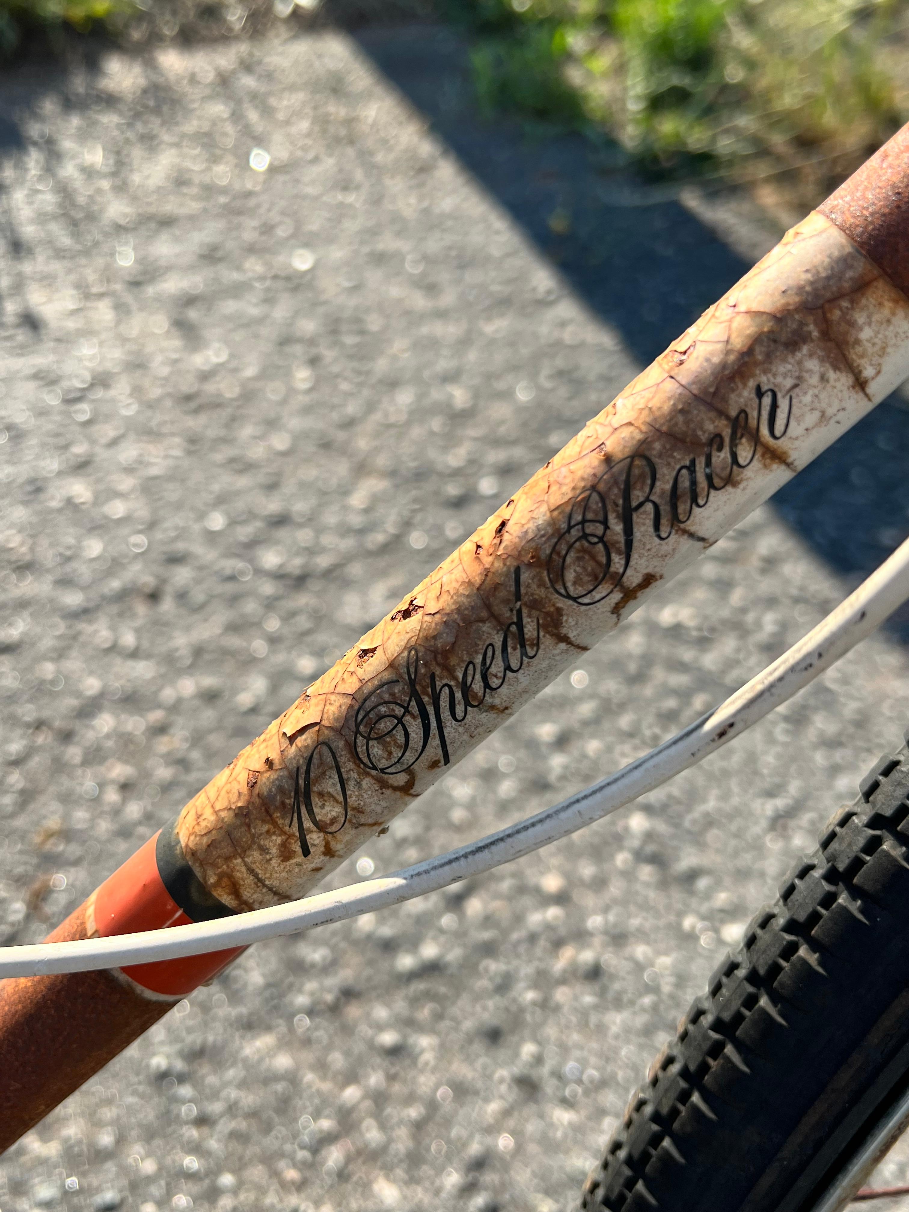 10 speed racer Bike