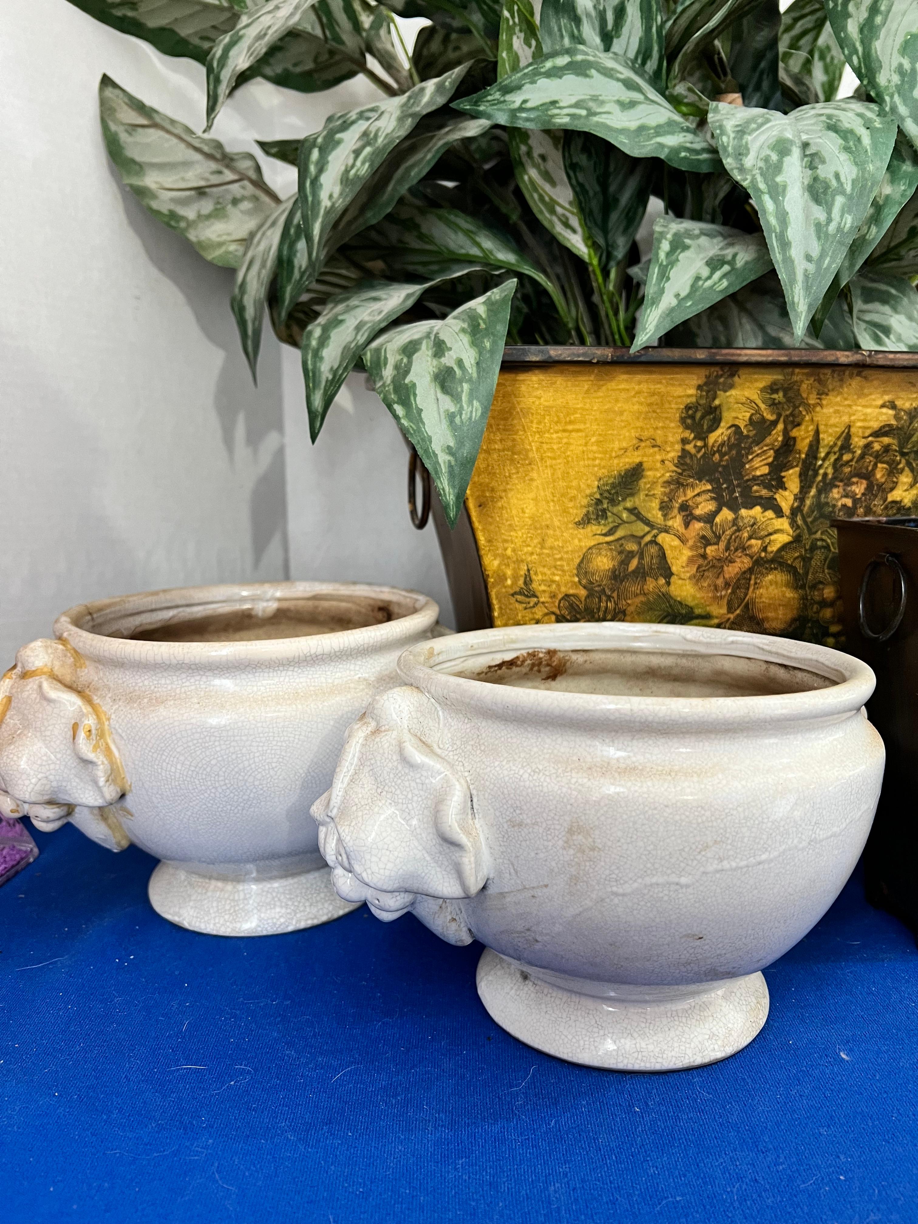 Planter lot