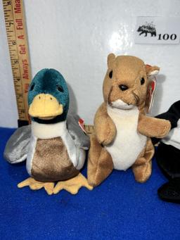 Beanie Baby lot