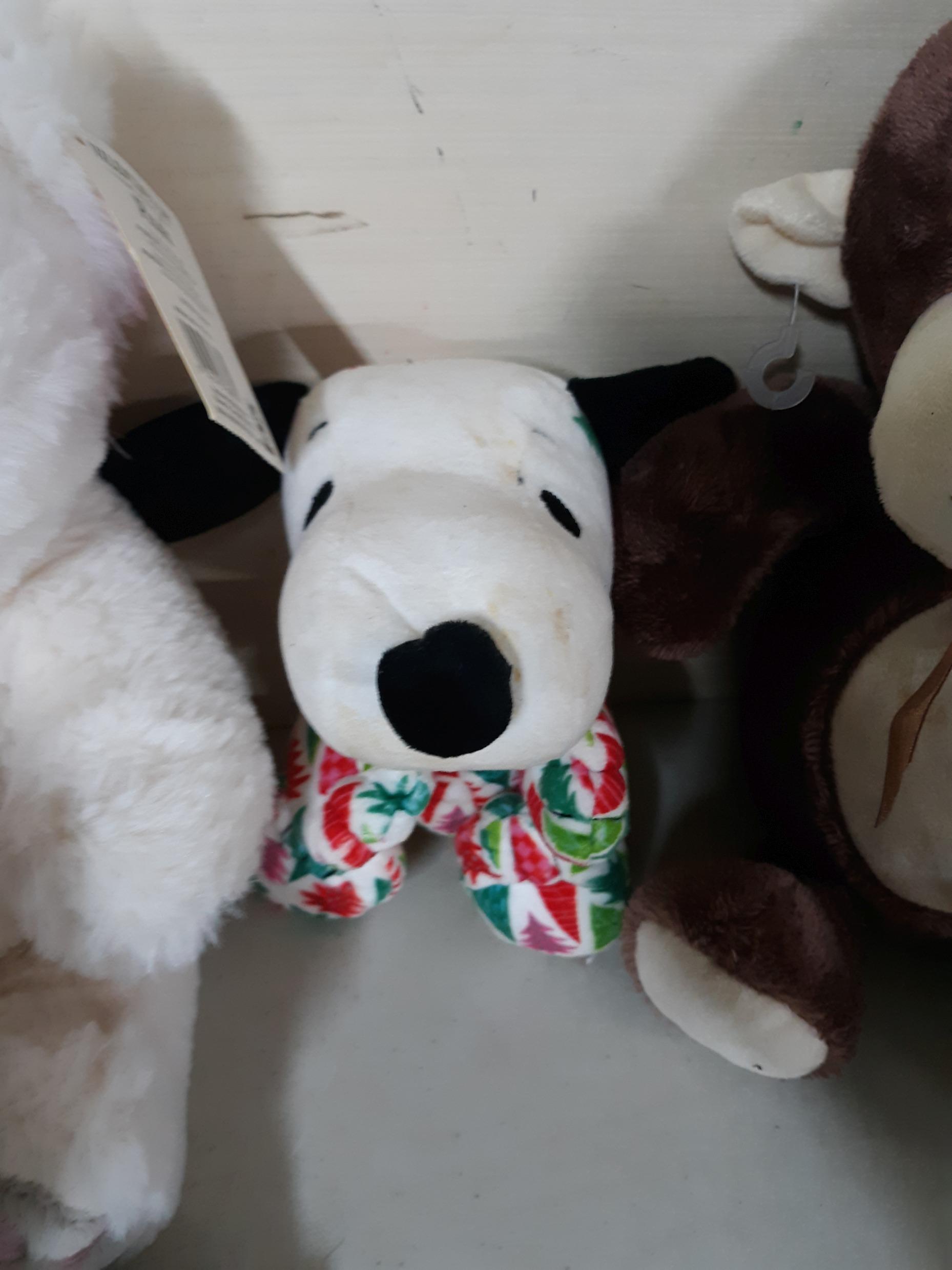 Stuffed Animal lot