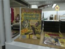 charlton comic, beyond the grave horror comic book #16 60 cent cover