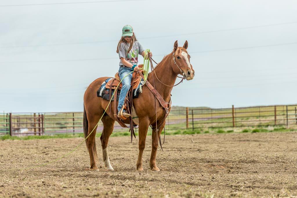 Bouie-7 y/o Gelding
