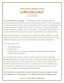 Dove Hunt for Four in Uruguay