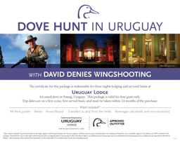 Dove Hunt for Four in Uruguay