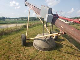 Hutchinson 10" x 40' Auger elec drive