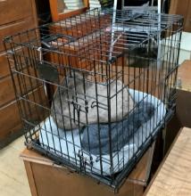 Smaller Dog Cage w/3 Pads & Cover