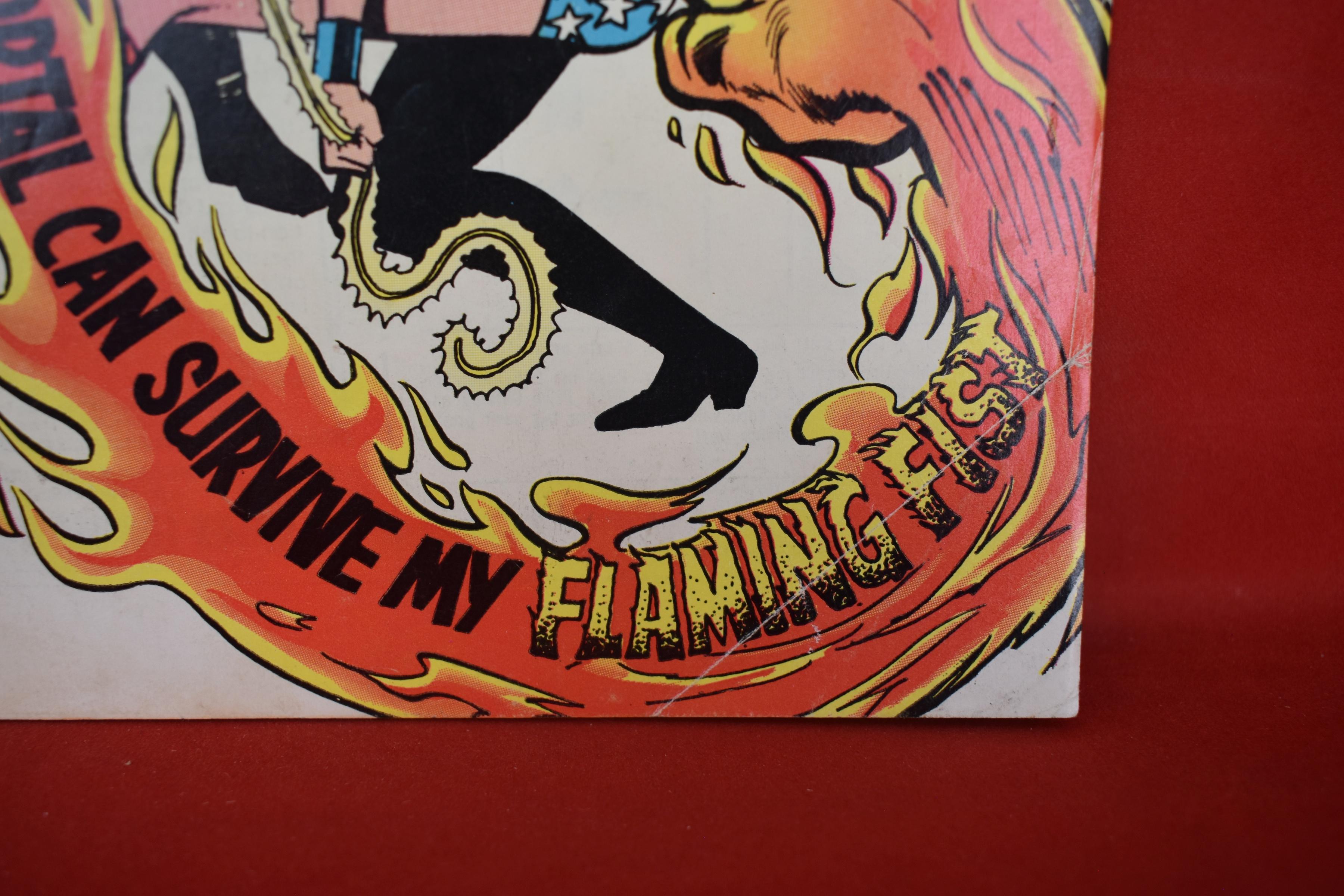 WONDER WOMAN #226 | A LIFE IN FLAMES! | ERNIE CHAN - 1976