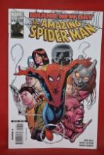 AMAZING SPIDERMAN #558 | BRAND NEW DAY | BARRY KITSON ART