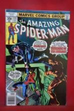 AMAZING SPIDERMAN #175 | KEY PARTIAL ORIGIN OF THE PUNISHER! | ORIGIN/DEATH OF HITMAN!