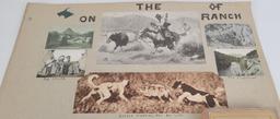 Diamond Bar F Ranch Branding Iron Montana