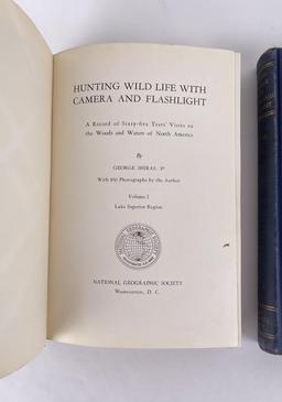 Hunting Wild Life with Camera and Flashlight