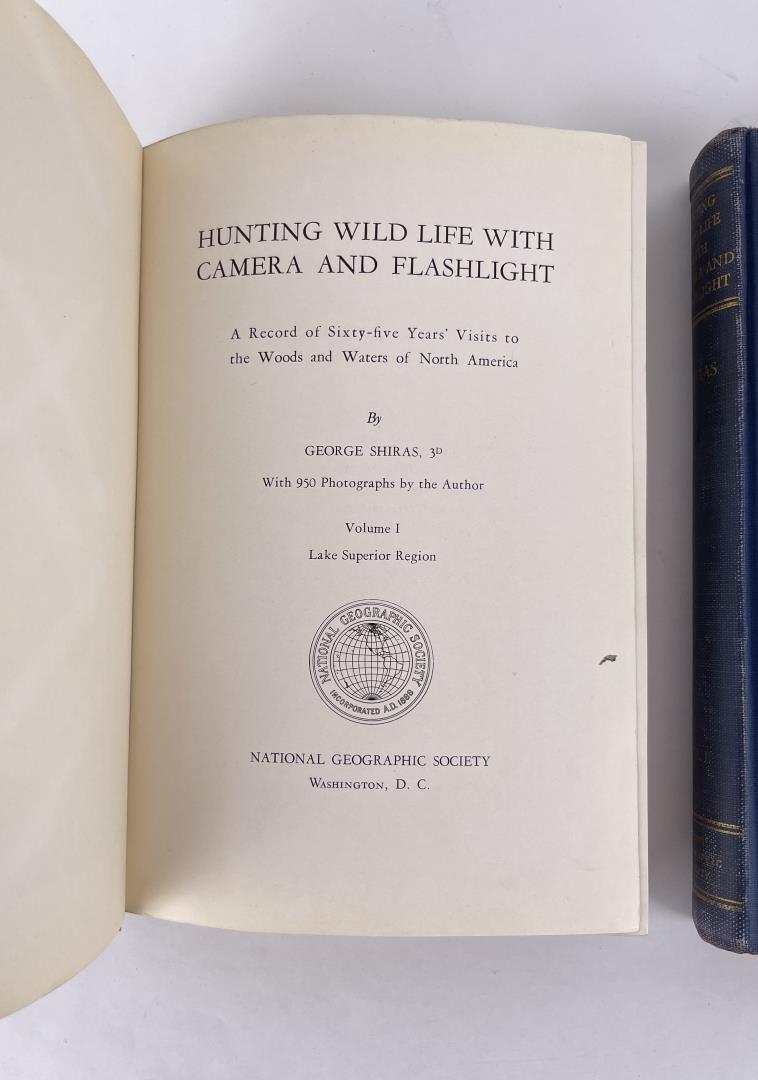 Hunting Wild Life with Camera and Flashlight
